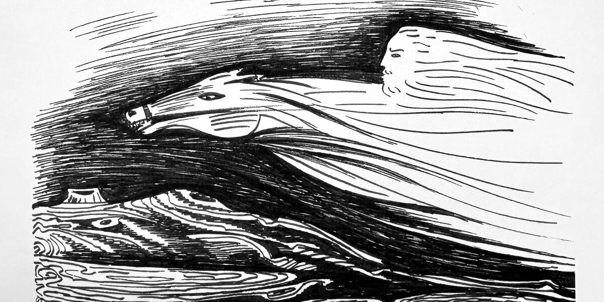 Иллюстрация из книги Станислава Бенедиктова «Окна»